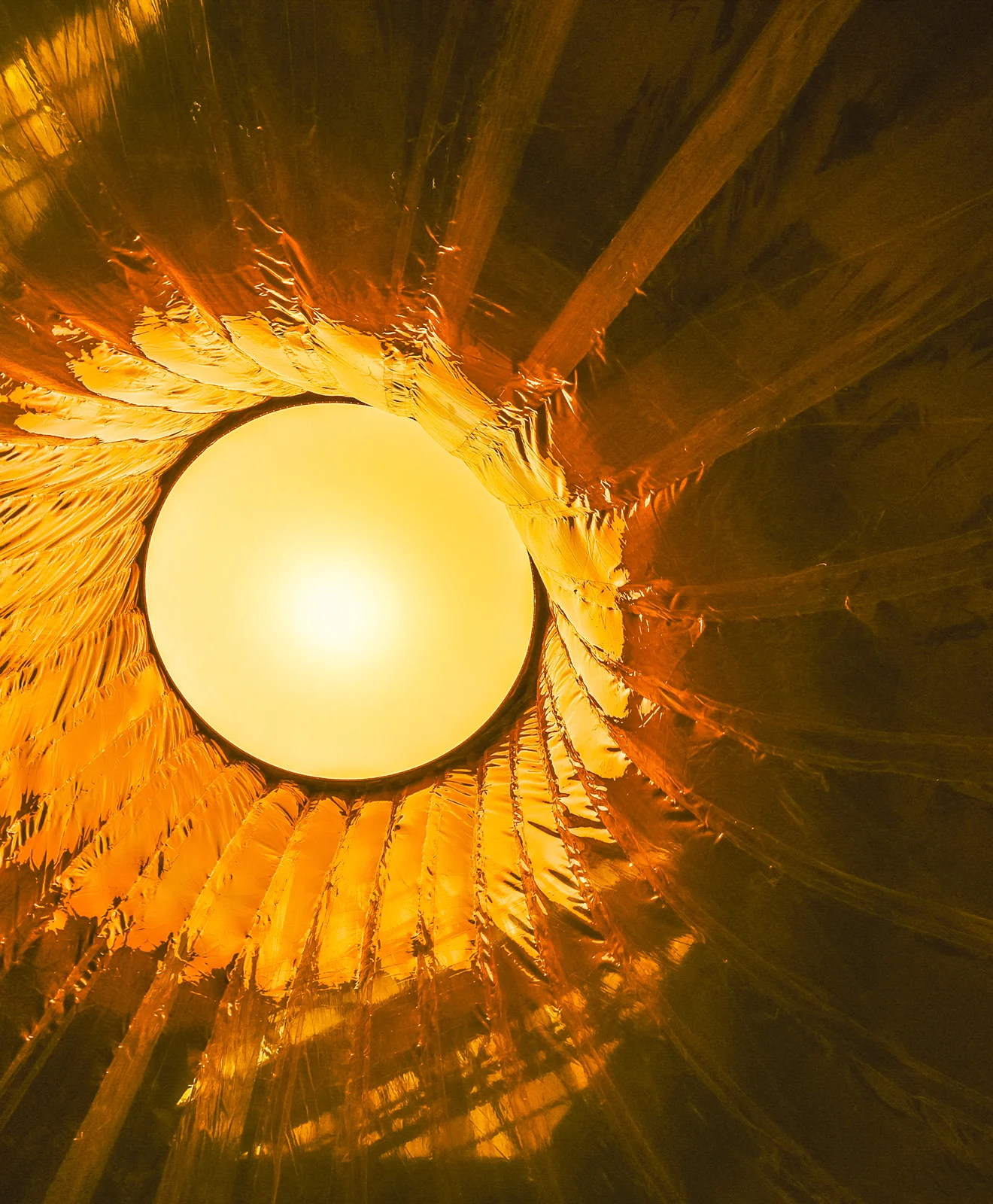 An Oil-Paper Umbrella